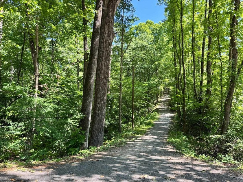 Experience affordable living in the nation's largest gated - photo 41