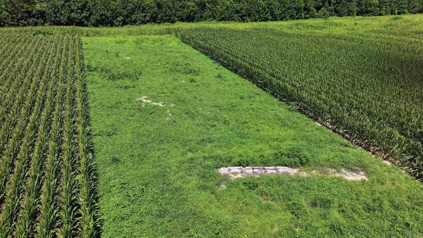 R &amp; R Waterfowl Farms is a premier 192.76 surveyed acre - photo 15