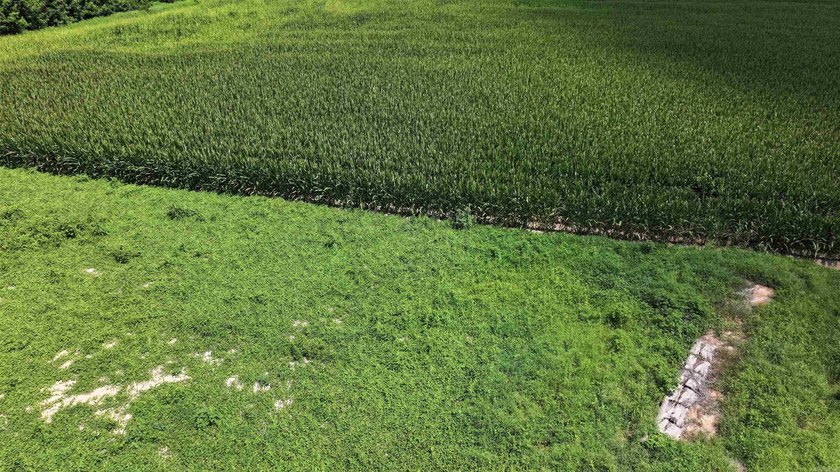 R &amp; R Waterfowl Farms is a premier 192.76 surveyed acre - photo 16