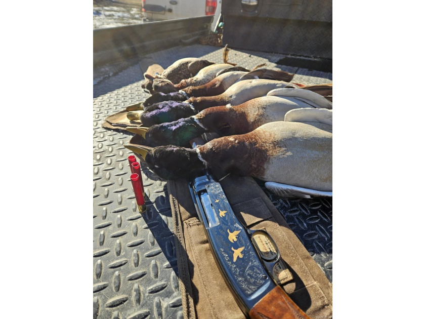 R &amp; R Waterfowl Farms is a premier 192.76 surveyed acre - photo 18