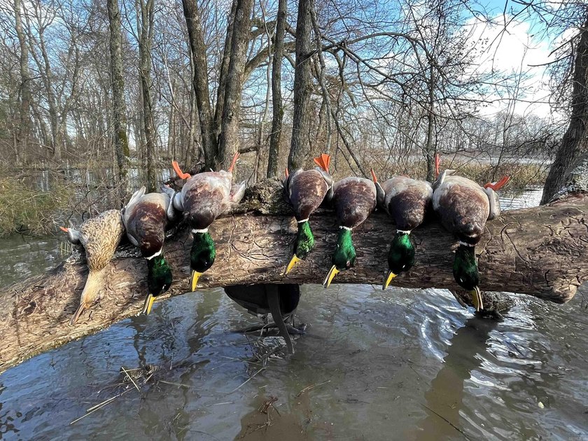 R &amp; R Waterfowl Farms is a premier 192.76 surveyed acre - photo 19
