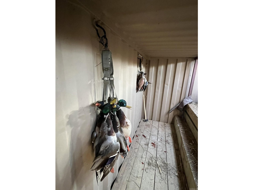 R &amp; R Waterfowl Farms is a premier 192.76 surveyed acre - photo 25