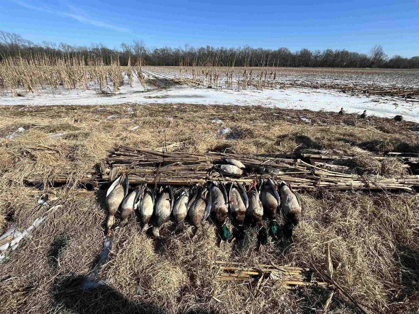 R &amp; R Waterfowl Farms is a premier 192.76 surveyed acre - photo 28