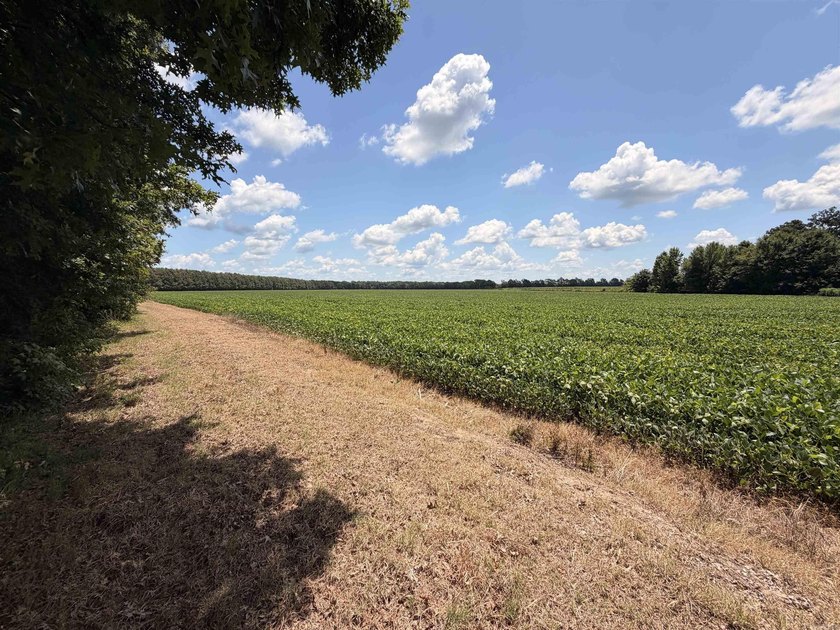 R &amp; R Waterfowl Farms is a premier 192.76 surveyed acre - photo 30