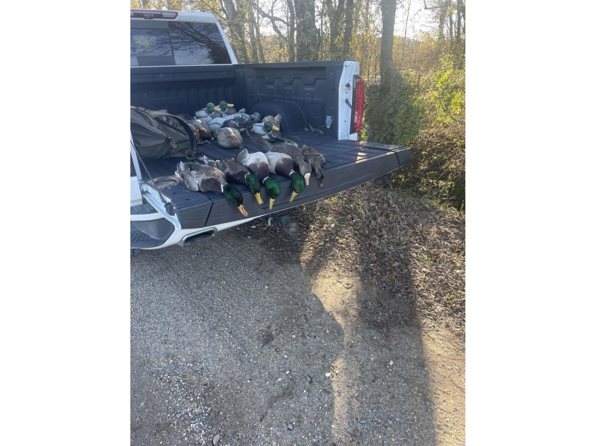 R &amp; R Waterfowl Farms is a premier 192.76 surveyed acre - photo 34
