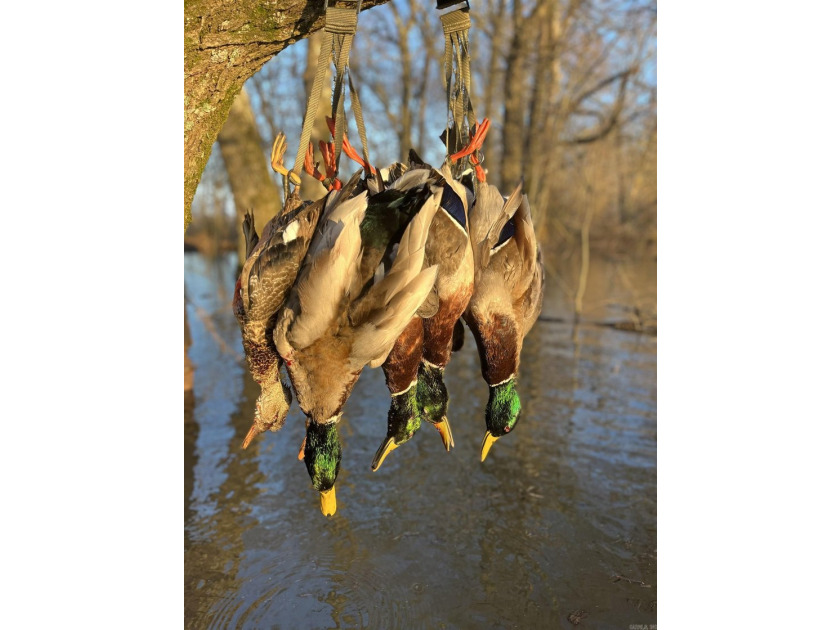 R &amp; R Waterfowl Farms is a premier 192.76 surveyed acre - photo 35
