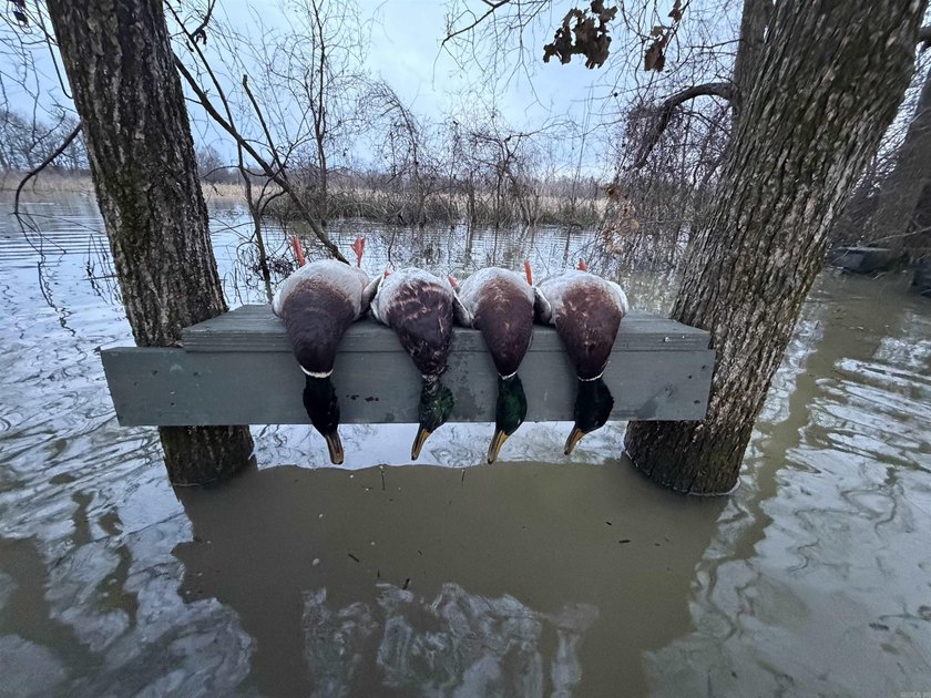 R &amp; R Waterfowl Farms is a premier 192.76 surveyed acre - photo 38