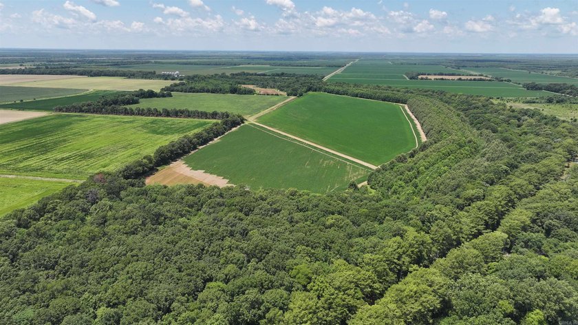 R &amp; R Waterfowl Farms is a premier 192.76 surveyed acre - photo 41