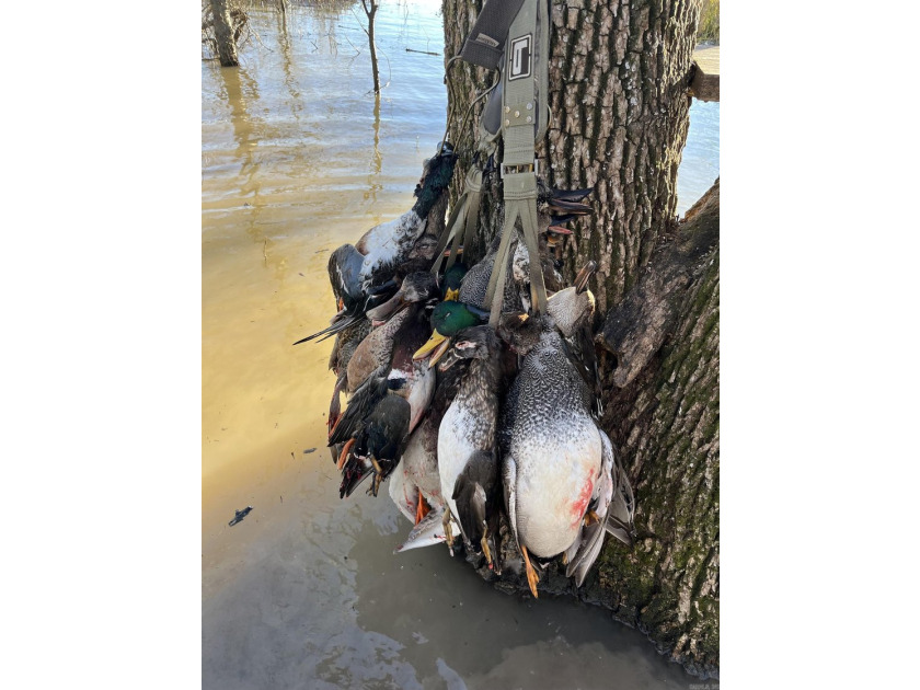 R &amp; R Waterfowl Farms is a premier 192.76 surveyed acre - photo 42