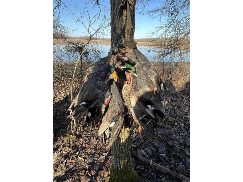 R &amp; R Waterfowl Farms is a premier 192.76 surveyed acre - photo 43