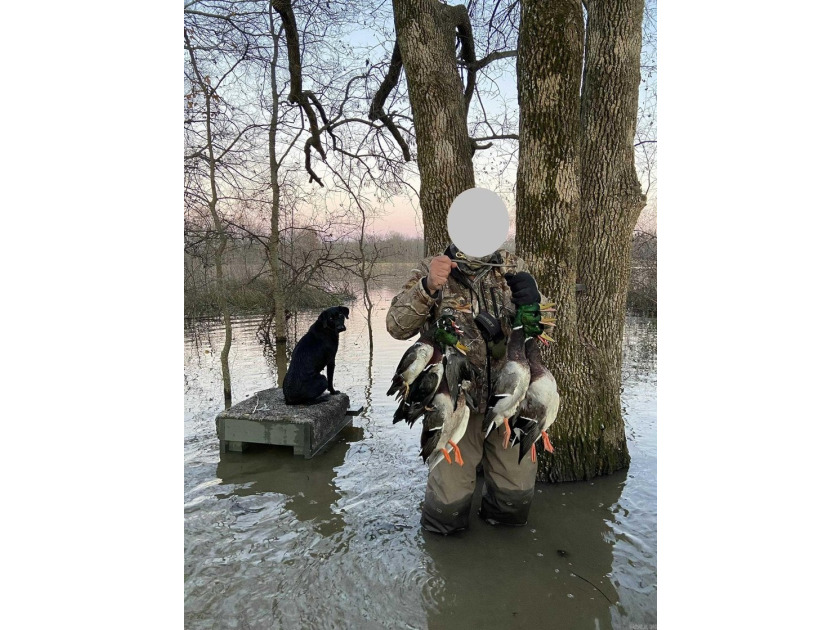 R &amp; R Waterfowl Farms is a premier 192.76 surveyed acre - photo 44