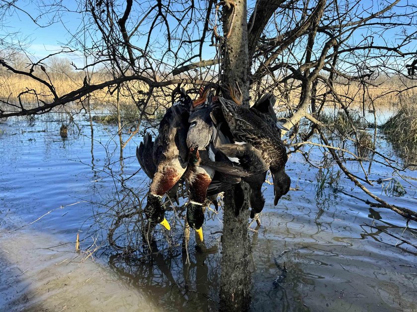 R &amp; R Waterfowl Farms is a premier 192.76 surveyed acre - photo 45