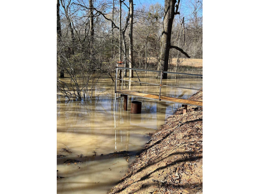 R &amp; R Waterfowl Farms is a premier 192.76 surveyed acre - photo 48
