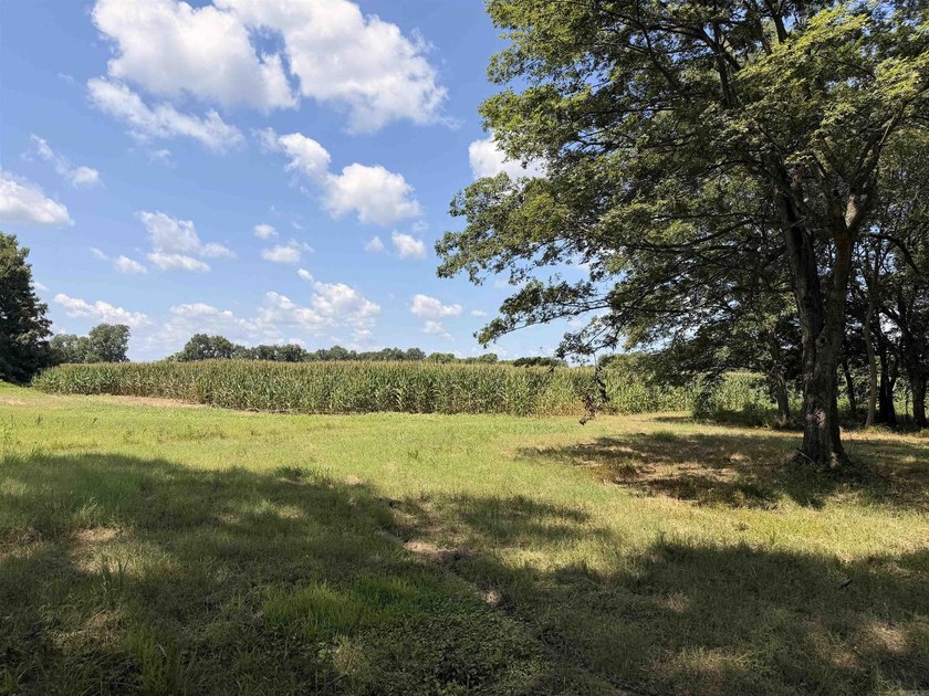 R &amp; R Waterfowl Farms is a premier 192.76 surveyed acre - photo 50