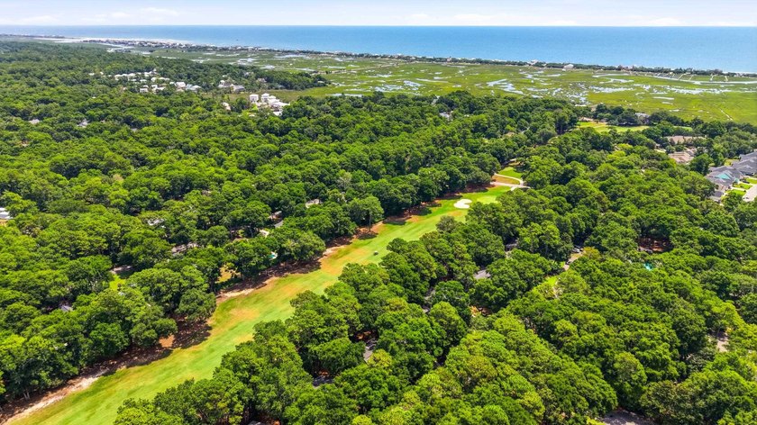 From the moment you enter the gated community of Pawleys - photo 33