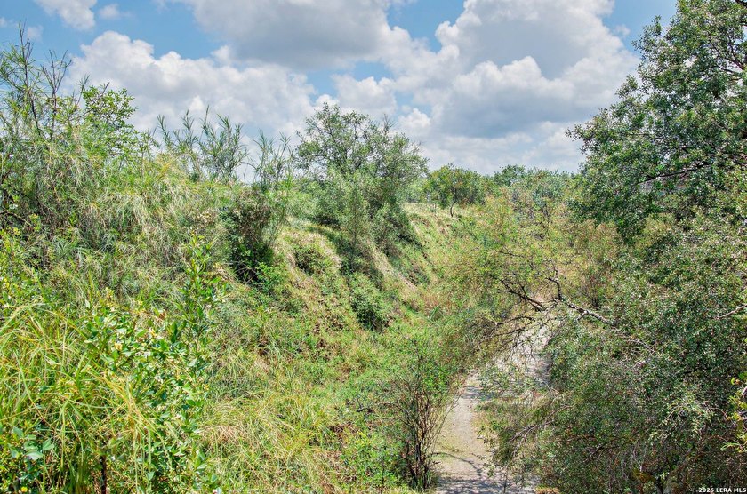Easy Access from Nittler Rd and Mile 3 W in Hidalgo Co. close to - photo 11