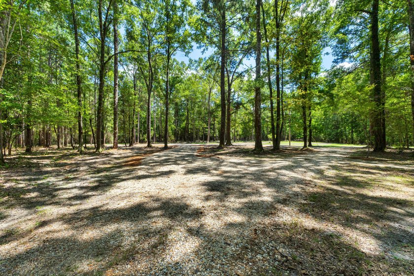 Hidden beneath towering hardwoods on a private wooded setting - photo 48