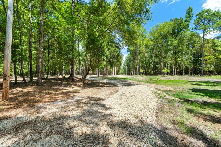 Hidden beneath towering hardwoods on a private wooded setting - photo 49