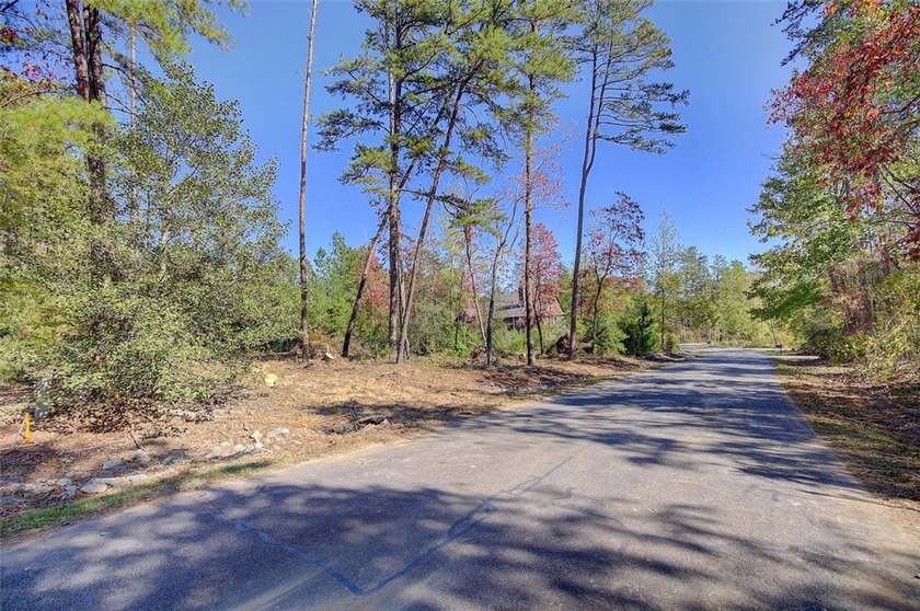 Nestled in the serene Keowee Bay subdivision, this exceptional - photo 4