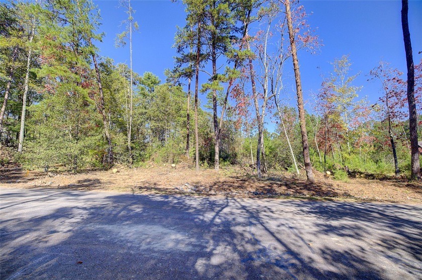 Nestled in the serene Keowee Bay subdivision, this exceptional - photo 5