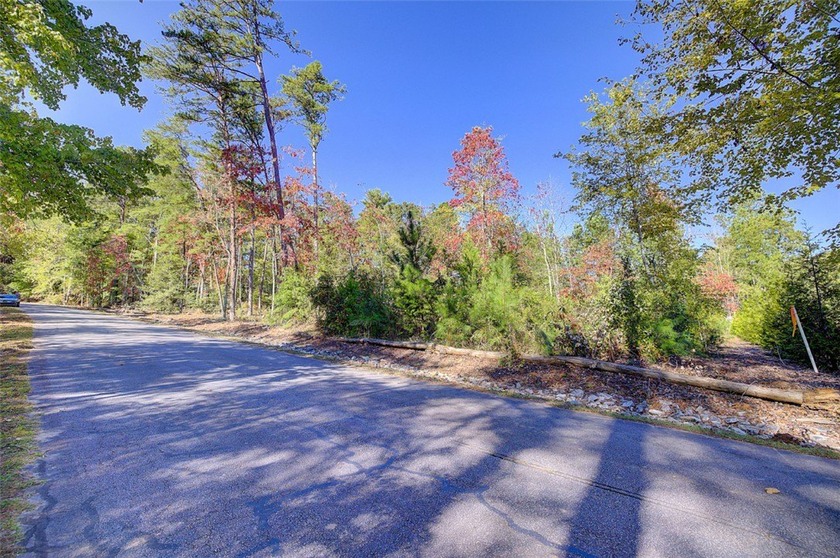 Nestled in the serene Keowee Bay subdivision, this exceptional - photo 6
