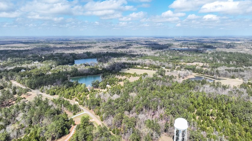 Cedar Pines Retreat offers a balance of convenience and privacy - photo 9