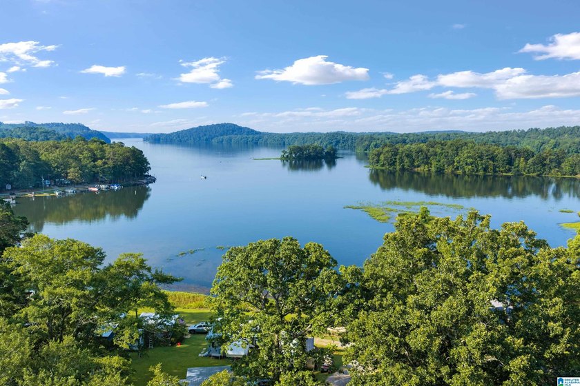 Lay Lake- this one is now up for grabs! Located within walking - photo 12