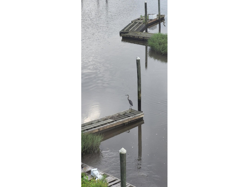 Turn-key 2BR/2BA end unit condo with stunning Intracoastal - photo 45