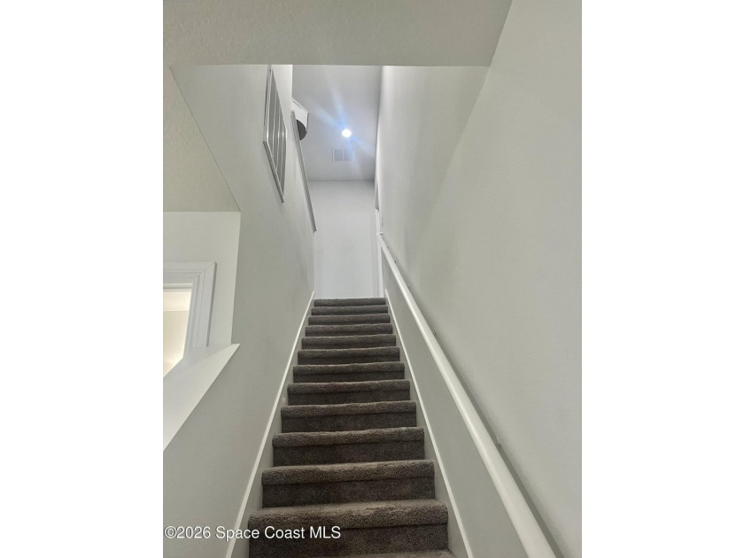 Shows like NEW very desirable 3 bedroom 2.5 bathroom spacious - photo 8