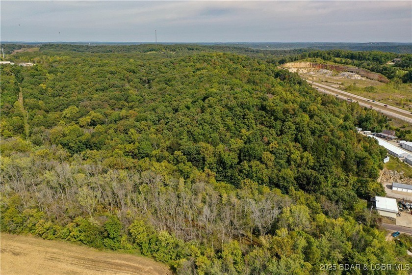 Vacant land adjacent to Hwy 54 - photo 3