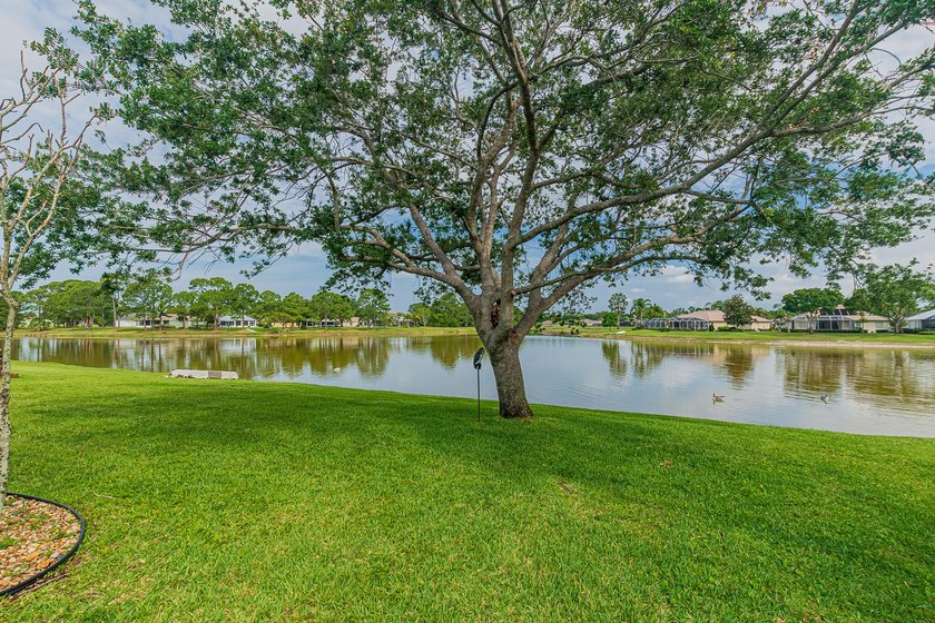 Enjoy stunning lake and pool views from this beautifully - photo 28