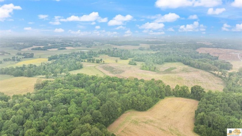 Charming, fully remodeled farmhouse nestled on approximately - photo 43