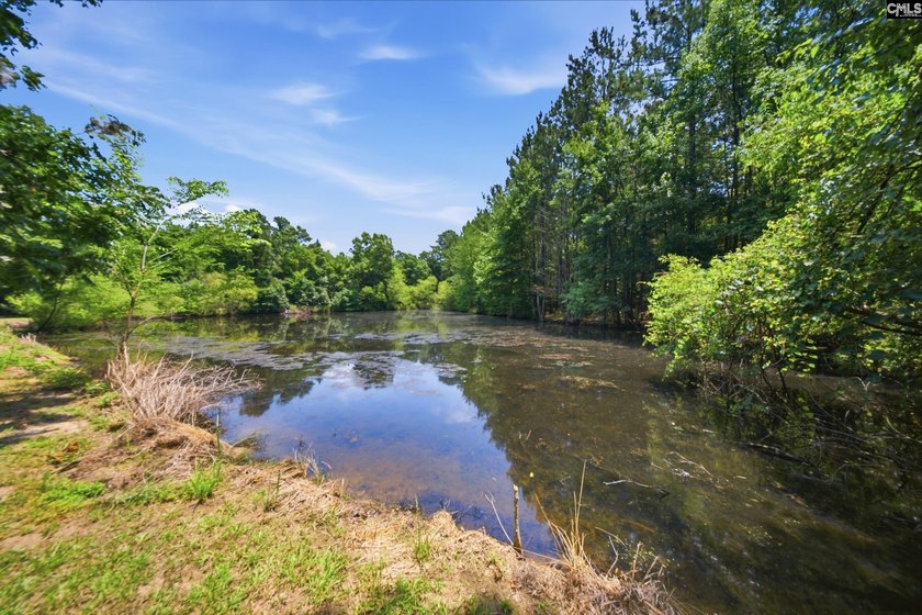 Welcome to 7580 Columbia Highway-where modern updates meet - photo 40