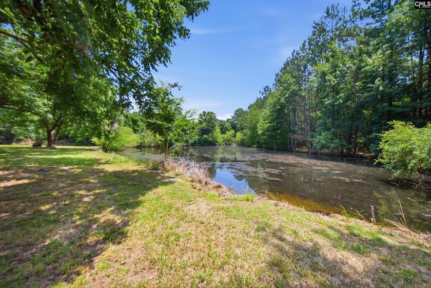 Welcome to 7580 Columbia Highway-where modern updates meet - photo 41