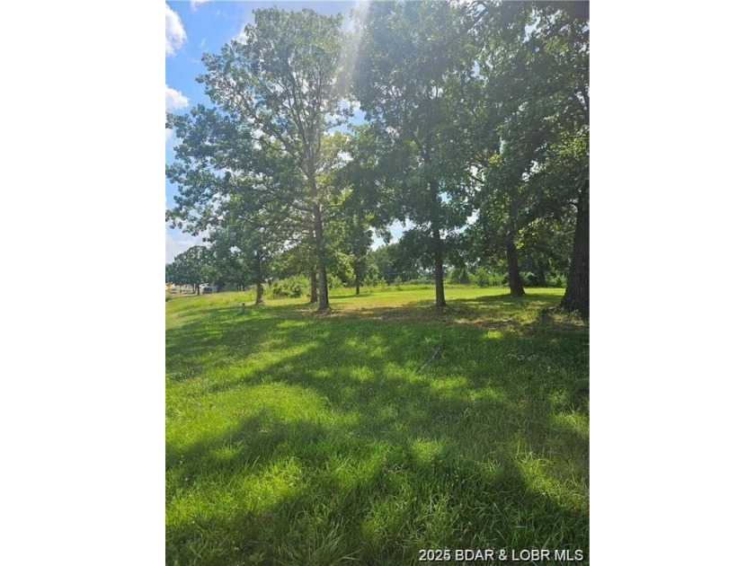 Premium Highway O frontage with city sewer and water available - photo 8