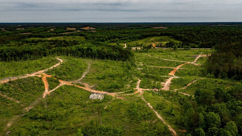 105.06+/- Acres | Mt. Gilead Rd &amp; Blue Ridge Rd | Itawamba - photo 11