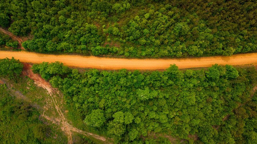 105.06+/- Acres | Mt. Gilead Rd &amp; Blue Ridge Rd | Itawamba - photo 15