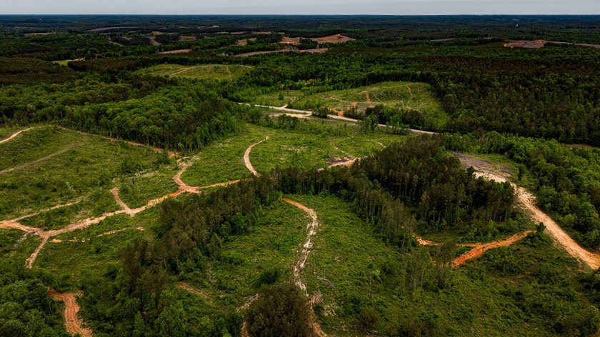 105.06+/- Acres | Mt. Gilead Rd &amp; Blue Ridge Rd | Itawamba - photo 16