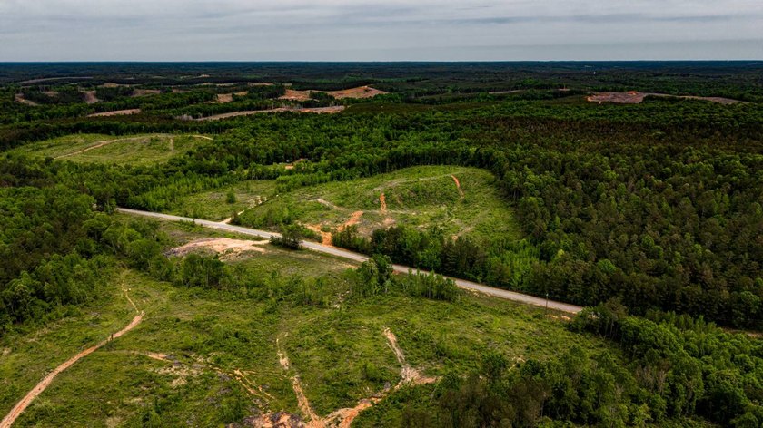 105.06+/- Acres | Mt. Gilead Rd &amp; Blue Ridge Rd | Itawamba - photo 17