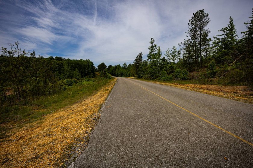 105.06+/- Acres | Mt. Gilead Rd &amp; Blue Ridge Rd | Itawamba - photo 19