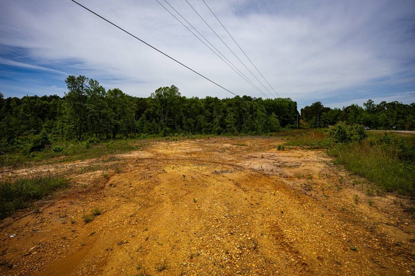 105.06+/- Acres | Mt. Gilead Rd &amp; Blue Ridge Rd | Itawamba - photo 21