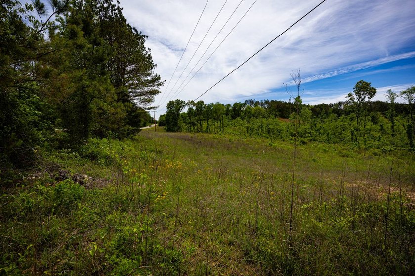 105.06+/- Acres | Mt. Gilead Rd &amp; Blue Ridge Rd | Itawamba - photo 22