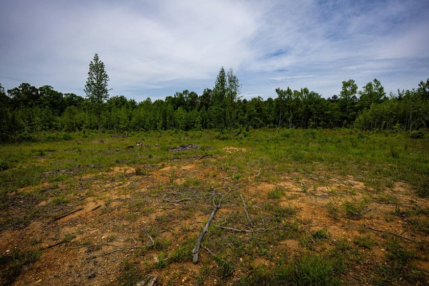 105.06+/- Acres | Mt. Gilead Rd &amp; Blue Ridge Rd | Itawamba - photo 23