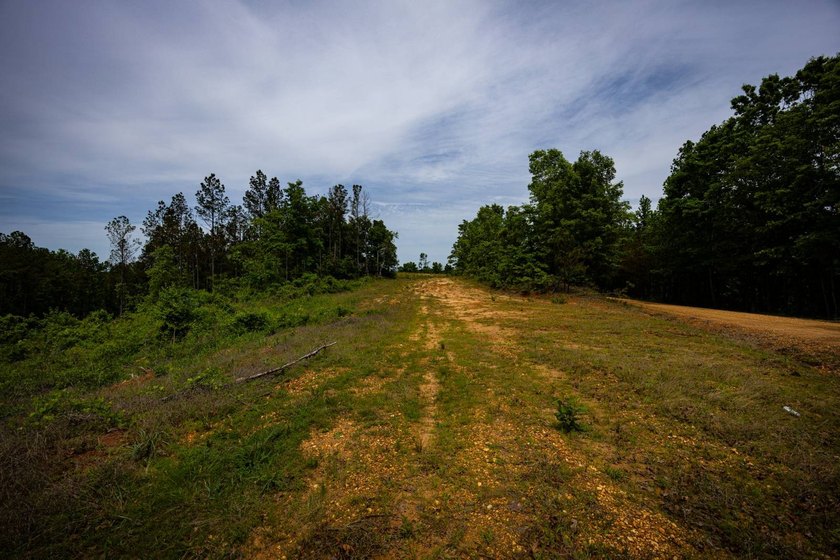 105.06+/- Acres | Mt. Gilead Rd &amp; Blue Ridge Rd | Itawamba - photo 24