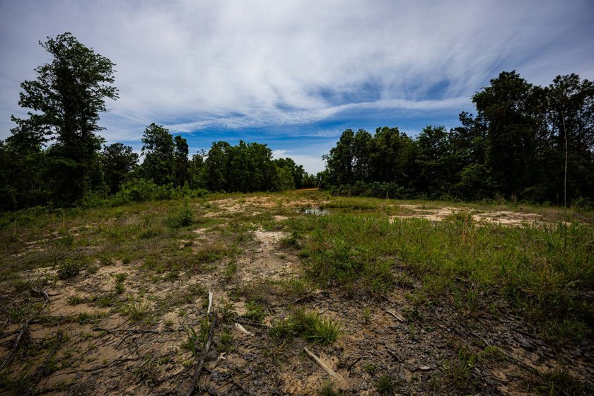 105.06+/- Acres | Mt. Gilead Rd &amp; Blue Ridge Rd | Itawamba - photo 25