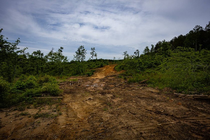 105.06+/- Acres | Mt. Gilead Rd &amp; Blue Ridge Rd | Itawamba - photo 38