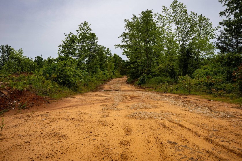 105.06+/- Acres | Mt. Gilead Rd &amp; Blue Ridge Rd | Itawamba - photo 46