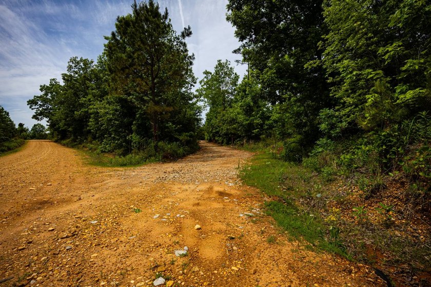 105.06+/- Acres | Mt. Gilead Rd &amp; Blue Ridge Rd | Itawamba - photo 49