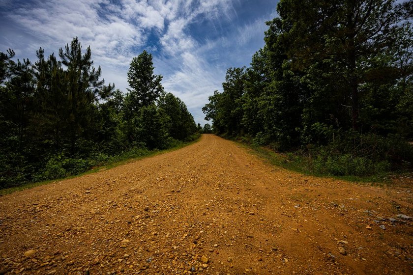 105.06+/- Acres | Mt. Gilead Rd &amp; Blue Ridge Rd | Itawamba - photo 50