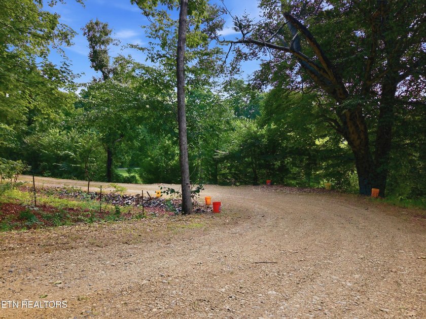 Discover the perfect place to build your dream home on this - photo 16